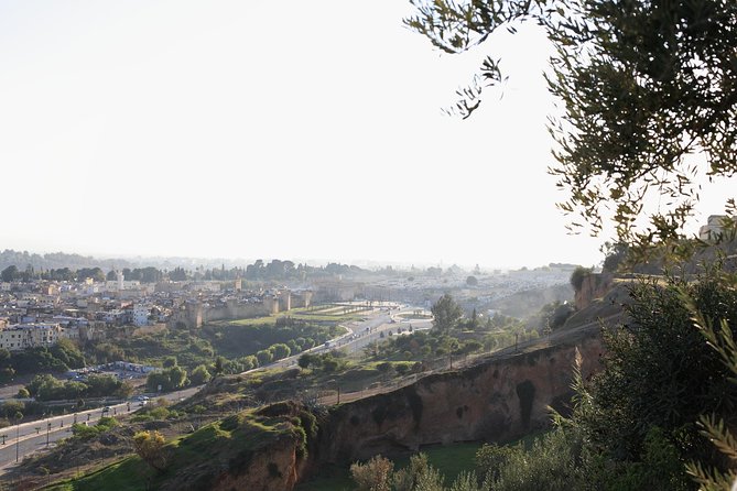Welcome to Fez : Private Walking Tour - Insider Tips