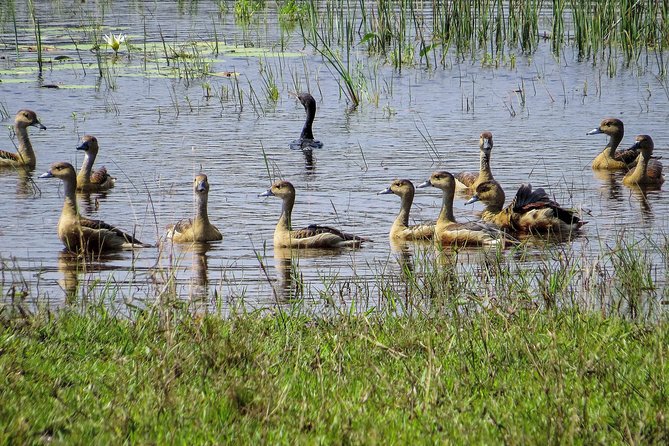 Wild Adventures Safari in Wilpattu - Pricing and Reservation Information