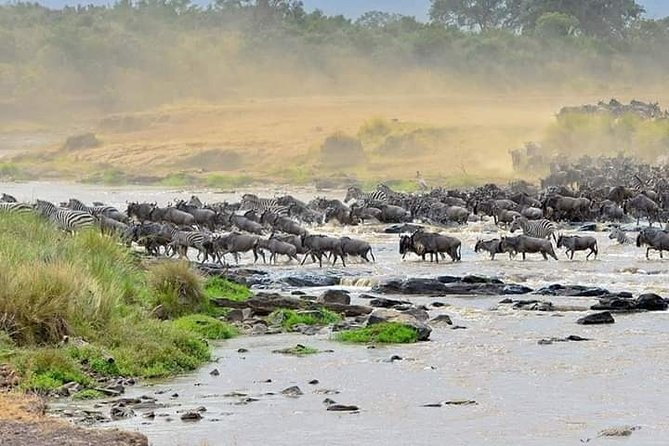 Wildebeest Migration at Masai Mara - Essential Packing List for the Trip