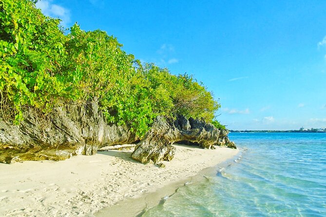Wildlife Tour: Blue Bay Glass Bottom Boat & Ile Aux Aigrettes - Pickup Information