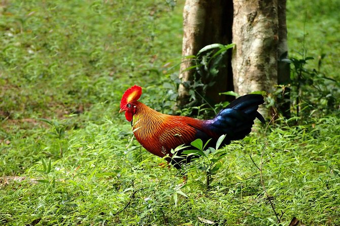 Wilpattu Safari Drive From Trincomalee, Nilaveli & Suburbs - Cancellation Policy Information