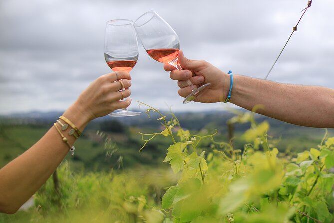 Wine Tasting and Photo Shoot at a Lisbon Winery - Booking Process