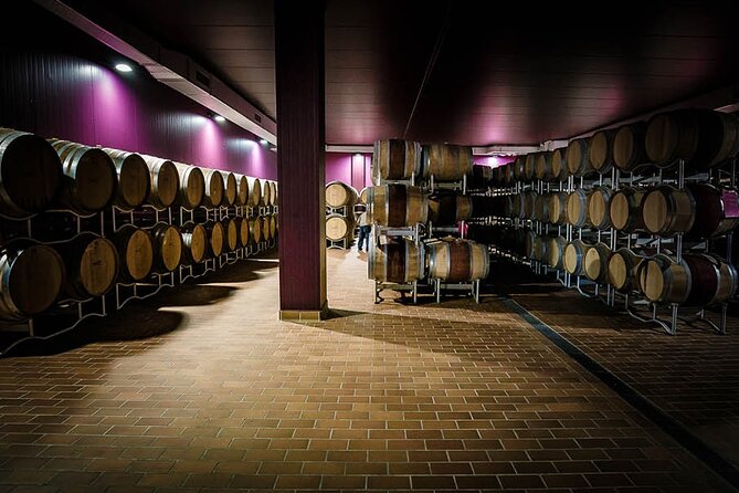 Wine Tasting in Bolgheri - The Sum Up