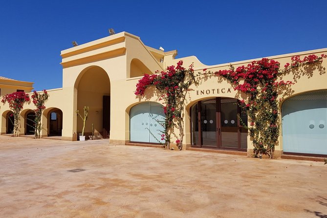 Wine Tasting of the Mazara Del Vallo Nature Reserve - Price: Starting From .94