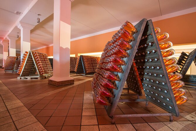 Wine Tour and Tasting on Garda Hills - Payment and Cancellation Policy