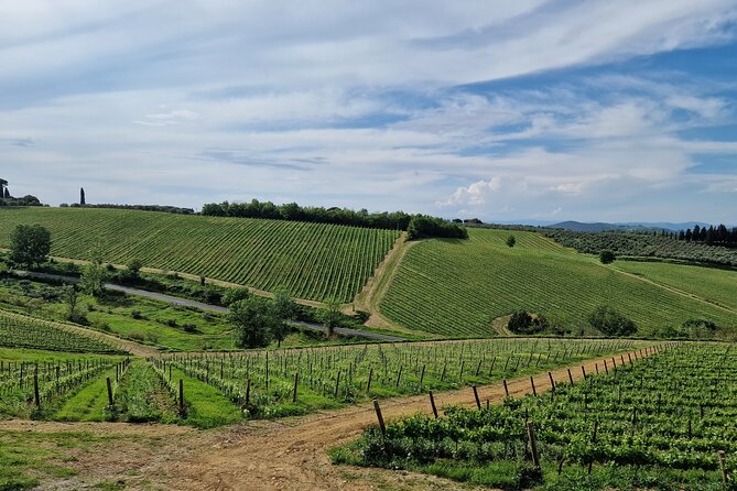 Wine Tours Chianti Classico All Inclusive Lunch & Wines 4 Hours - Cancellation Policy