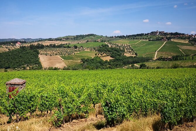 Wine Tours in Tuscany Chianti Vineryes All Inclusive - Pricing