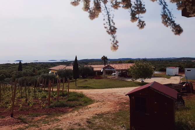 Wines Unknown - Istrian Nordinary Wine Tour - Frequently Asked Questions