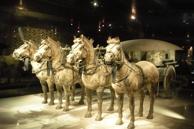 Xian Railway Station Pick up and Terracotta Warriors Museum Day Tour - The Sum Up