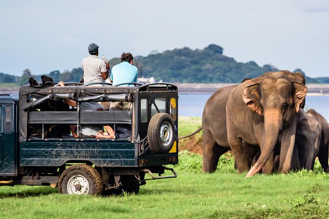 Yala Jeep Safari Tour From Yala - Directions Heading 3