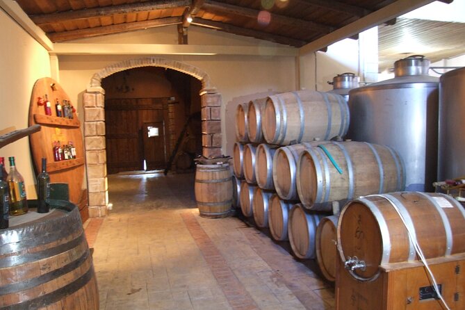 Zante Tour With Blue Caves Boat Trip and Wine Tasting - Important Recommendations