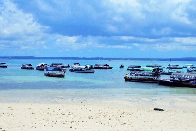 Zanzibar Prison Island Trip and Stone Town Private Walking Tour - Cancellation Policy and Tips