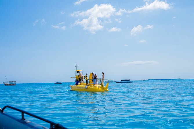 Zanzibar Submarine Reef and Beach Tour and Spice Farm Tour - Zanzibar Submarine Reef Tour