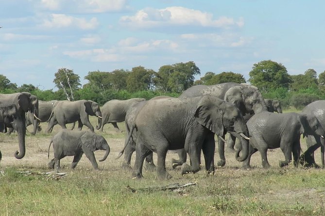 7 Days Big Five Safari Experience - Good To Know