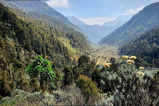 7 Days DR Congo Rwenzori Mountain Hiking – Panoramic Views (4462 M Alt) - Good To Know