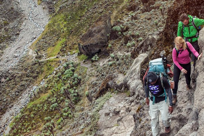 7 Days Mount Kilimanjaro Rongai Route Climb - Good To Know