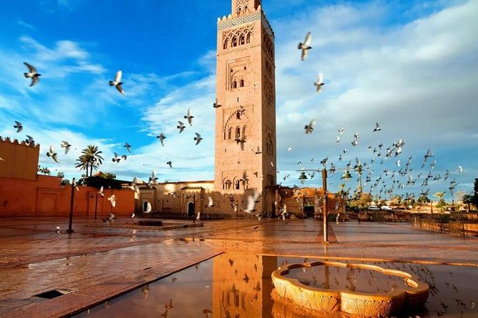 7 Days Private Tour of Morocco - Good To Know