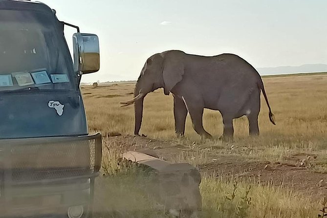 7 Days Salt-Lick Safari - Good To Know