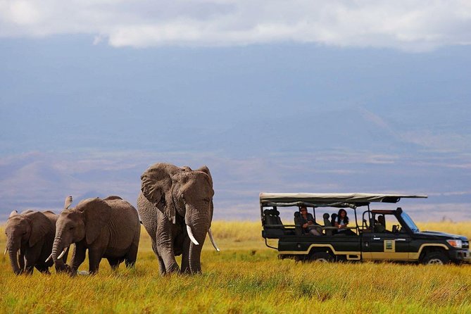 7 Days Samburu, Lake Naivasha & Masai Mara National Reserve - Day 2: Exploring Samburu National Reserve