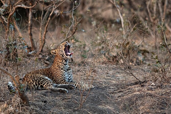 7 Days Southern Safari, Ruaha Np, Mikumi Np And Selous Game Reserve - Good To Know
