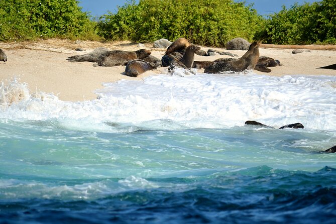 7 Days Tour in Quito and Santa Cruz/Galapagos - Best of Ecuador - Good To Know