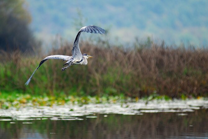 7-Hours Private Guided Wine and Gastro Tour in Skadar Lake - Good To Know