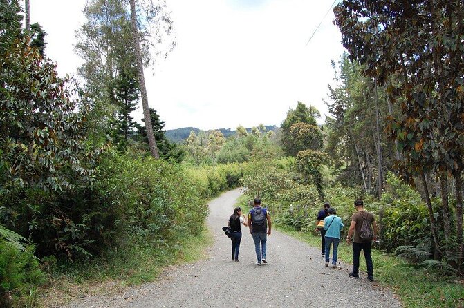 7-Night Full Spanish Immersion Packet in Medellin-OLSA POBLADO - Good To Know