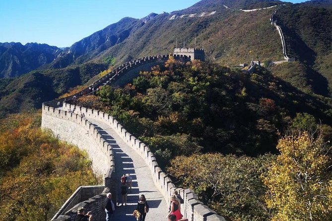 1-Day Bejing Layover Tour:Mutianyu Great Wall,Forbidden City & Airport Transfers - Booking Options