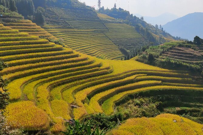 1-Day Longji Rice Terraces Hiking Tour From Guilin/Yangshuo Hotel - Cancellation Policy