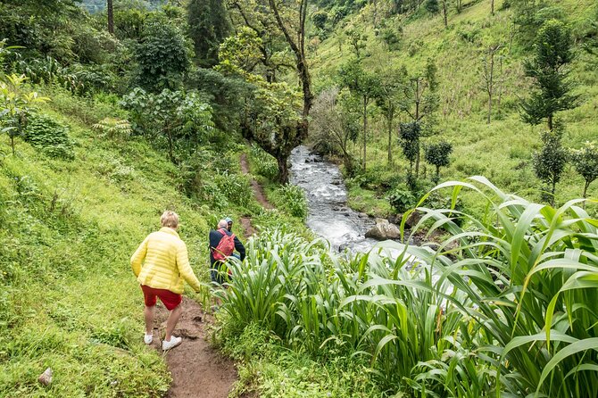 1 Day Private Materuni Village, Waterfalls - Booking Process