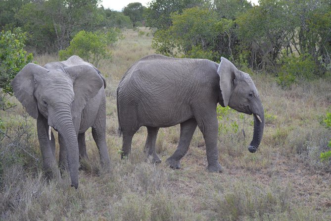 1 Day Safari - Ol Pejeta Conservancy. - Contact Details