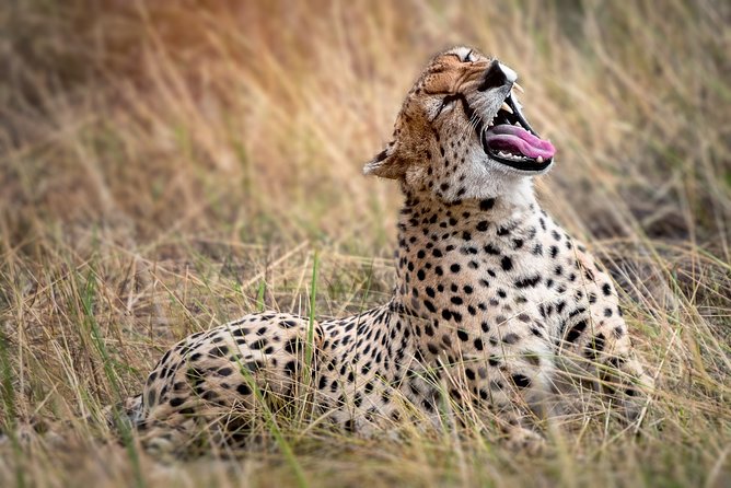 1 Day Tarangire National Park Private Safari - Important Travel Considerations