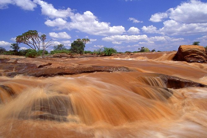 1 Day Tsavo East Safari From Kenya Coast (Cost Based on Minimum 2 Persons) - Booking Details