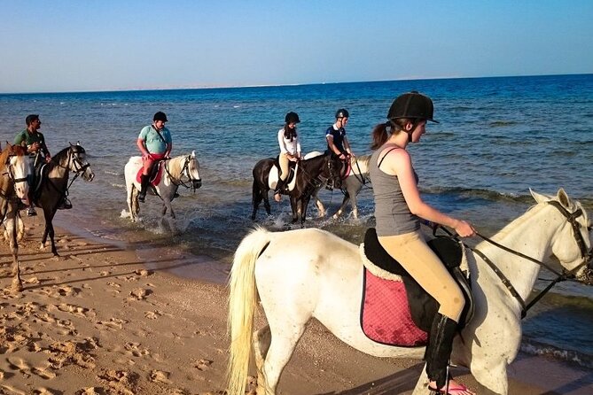 1-Hour Horse Ride Adventure in Sharm El-Sheikh - Pickup Details