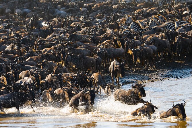 10 Day Great Migration Photographic Safari - Wildlife Photography Opportunities