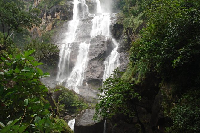 10-DAY Southern Tanzania Safari Circuit With Accommodation - Booking Policies and Information