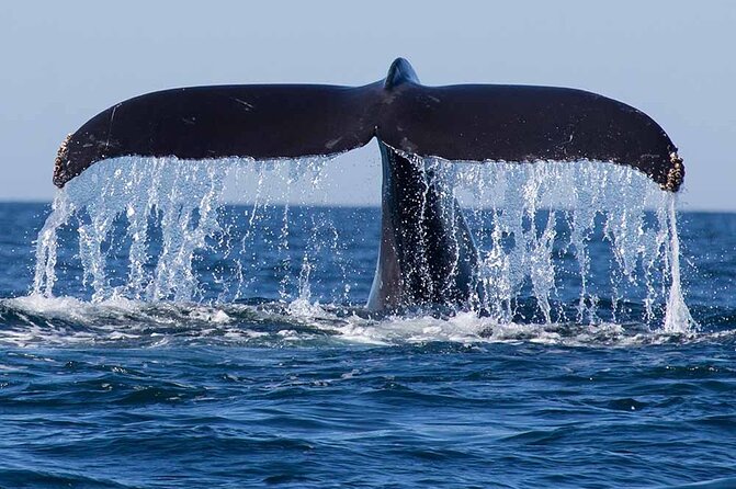 10 Days All Inclusive Tour Exploring Natural Beauty of Sri Lanka - Itinerary Overview