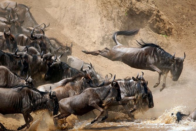 11 Days / 10 Nights Join Group Safari - Accommodation and Cuisine Highlights