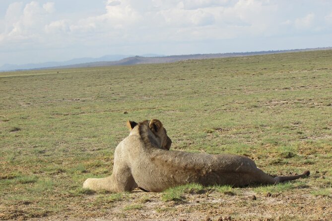 11 Days Vegans Private Safari - Important Reminders