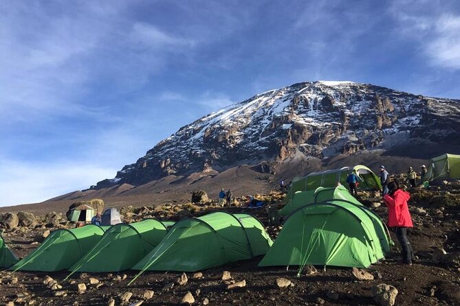 12 Days Tanzania Trip Kilimanjaro Lemosho Trek and Safari Combo - Price Details