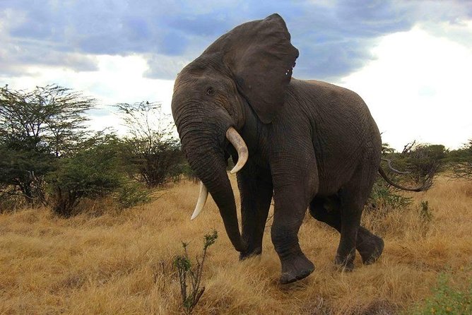 13 Days South and Eastern Tanzania Safari and Historical Sites. - Meal Inclusions
