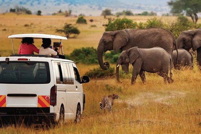 14-DAY Volunteer Orphanage Masai Mara and Lake Nakuru Safari From Nairobi - Cancellation Policy and Refunds