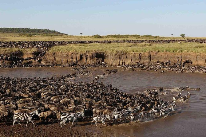 14 Days Guided Safari in Kenya - Booking and Pricing Information