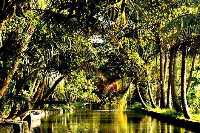 15 Days Private Tour in North India Mumbai and Kerala - Transportation and Guides