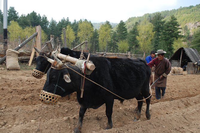 16 Days Amazing Bhutan From East to West - Frequently Asked Questions