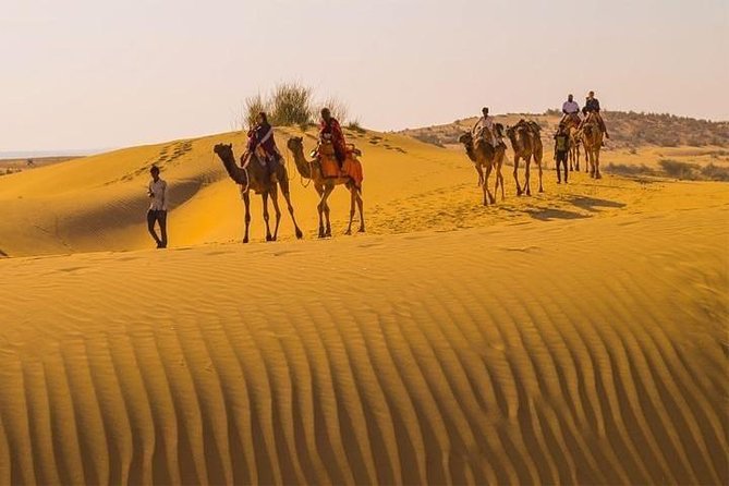 16-Days Rajasthan Tour With Agra From Delhi - Cancellation Policy