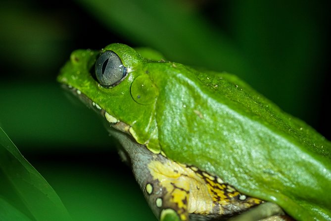 2-Day Camping Tour to Pacaya-Samiria National Park From Iquitos - Additional Details