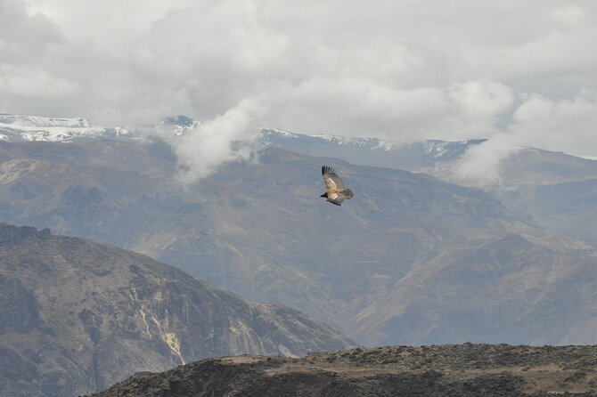 2-Day Colca Canyon Tour With Optional Transfer to Puno - Optional Transfer to Puno