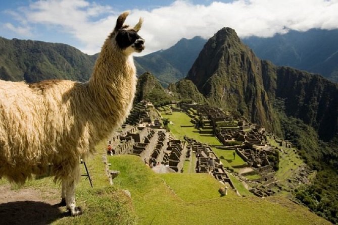 2-Day Inca Trail To Machu Picchu - Trail Experience Highlights