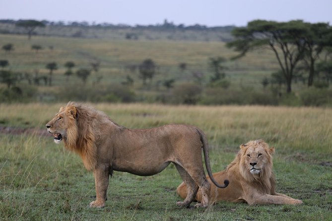 2 Days Amboseli National Park - Booking Information and Pricing